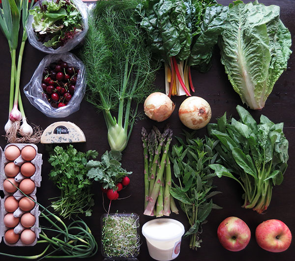 Week 1 Family Size CSA Box Including Yogurt and Cheese Shares, Plus Eggs