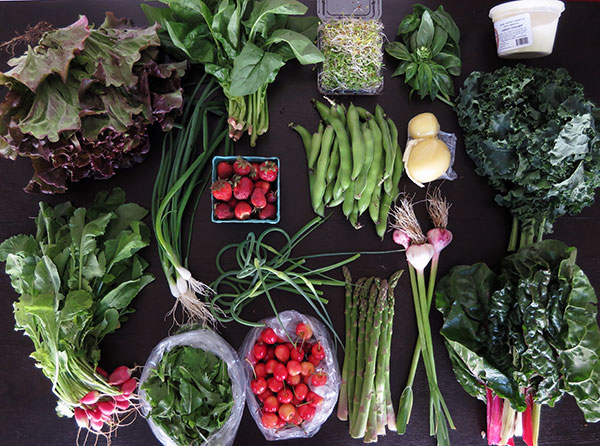 Week 2 Family Size CSA Box Including Yogurt and Cheese Shares