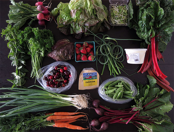 Week 3 Family Size CSA Box Including Yogurt and Cheese Shares