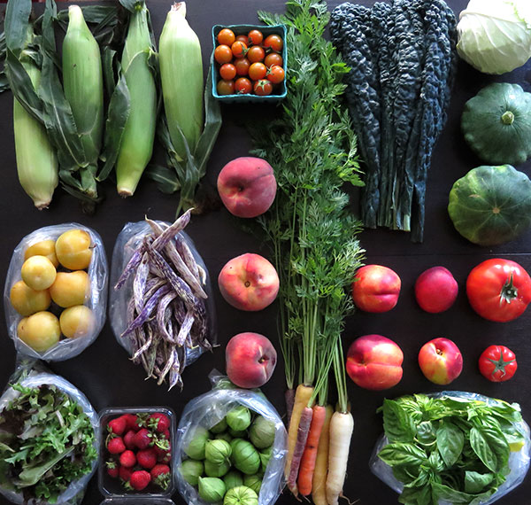 Fresh Fruits and Vegetables in Late Summer