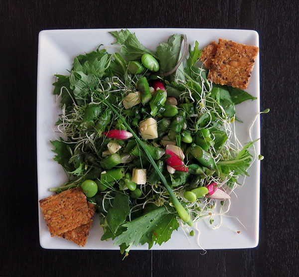 Green Salad With Asparagus, Fava Beans, Radishes, Sprouts and Cheddar Cheese