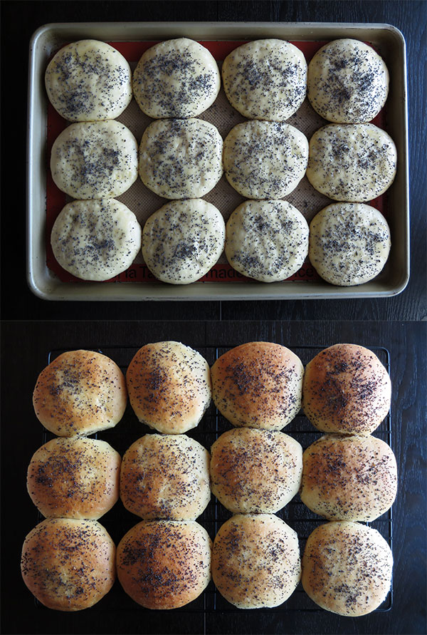 Composite of Whole Wheat Poppy Seed Hamburger Buns After Second Rise and Baked