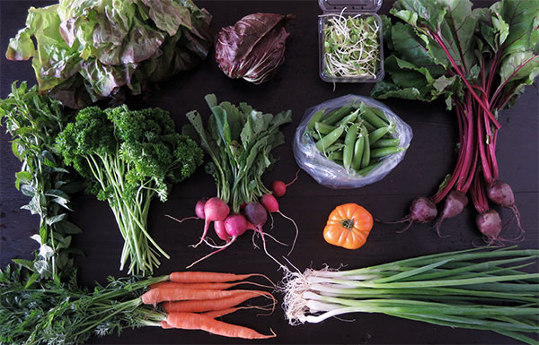 CSA Box Ingredients Used in Dinner Salad With Friends