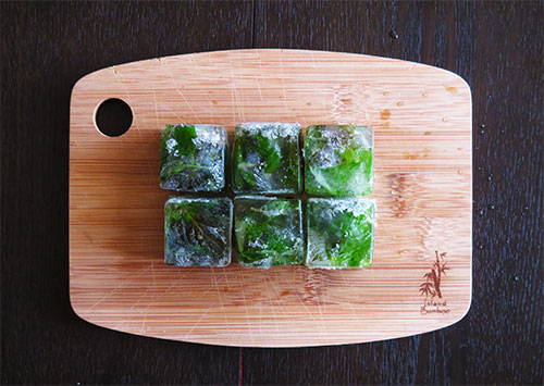 Freeze Fresh Mint in Ice Cube Trays
