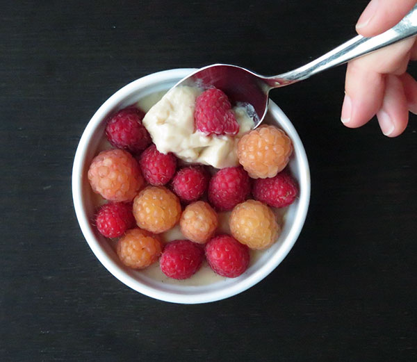 Yogurt Panna Cotta With Fresh, Local Raspberries