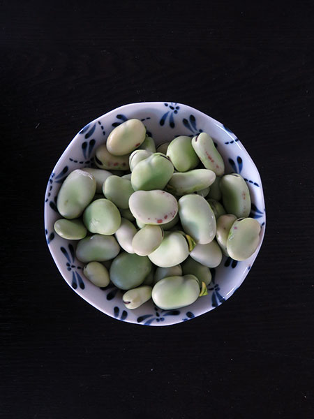 Fresh Shelled Fava Beans